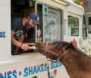 The Pony and Ice Cream Truck making friends. 