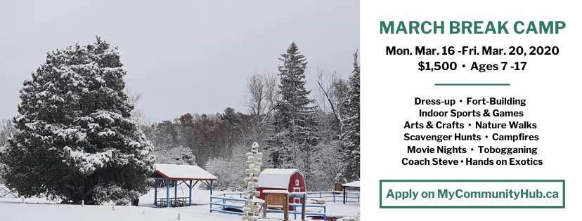 March Break at Shadow Lake. Apply with My Community Hub.