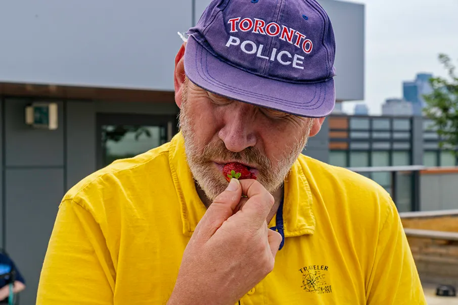 A person enjoying a fresh strawberry outdoors, capturing a simple moment of independence, choice, and everyday enjoyment.