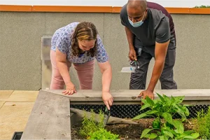 Two people tend a rooftop garden bed together, examining plants and soil beside growing vegetables.