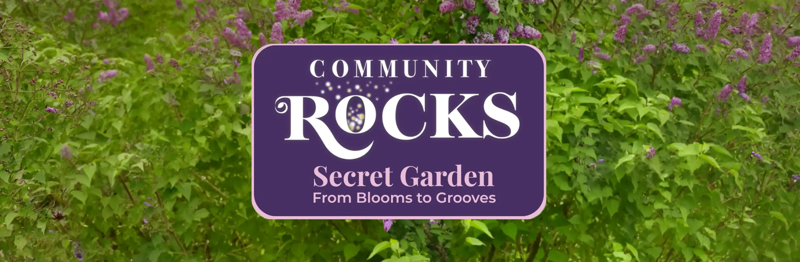 community-rocks-post-banner